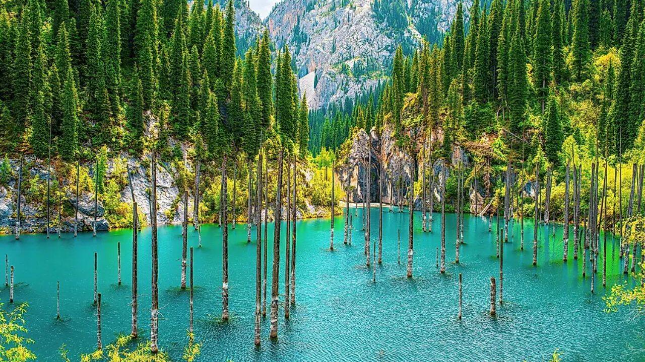 5 lakes with underwater forests: From Clear Lake to Caddo Lake