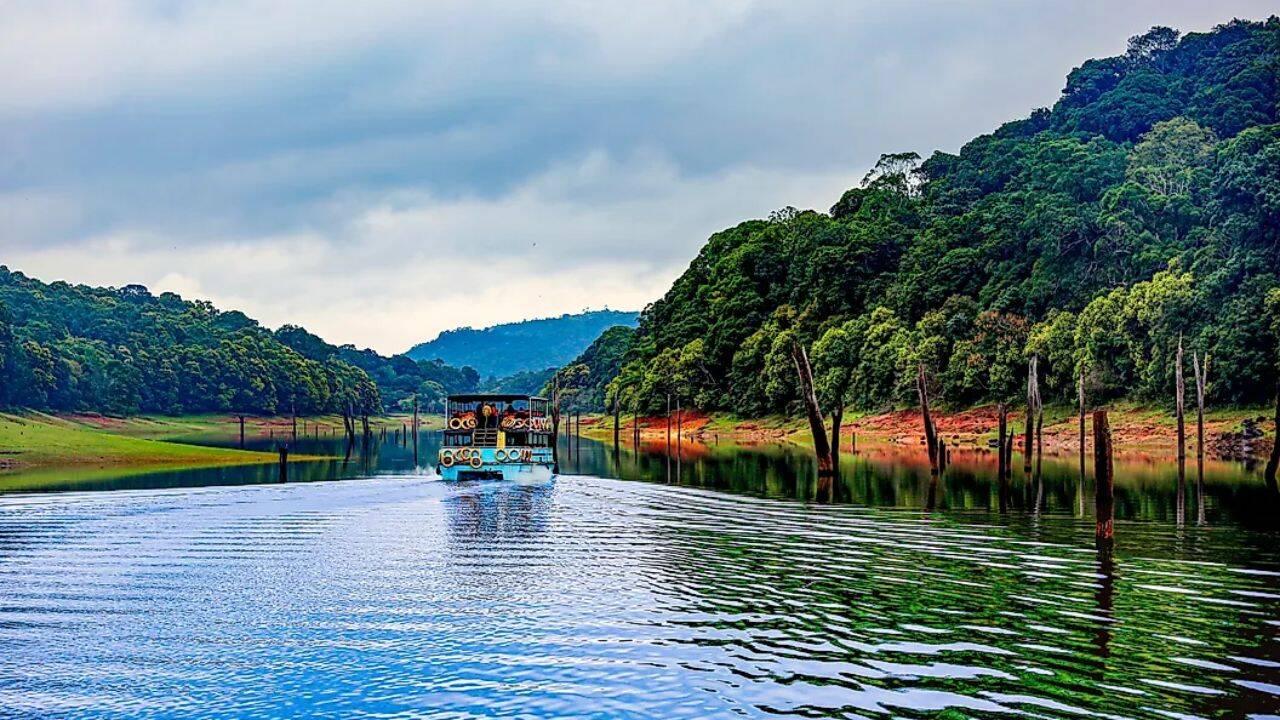 Stop Treating Underwater Forests Like Magical Eco Wonders