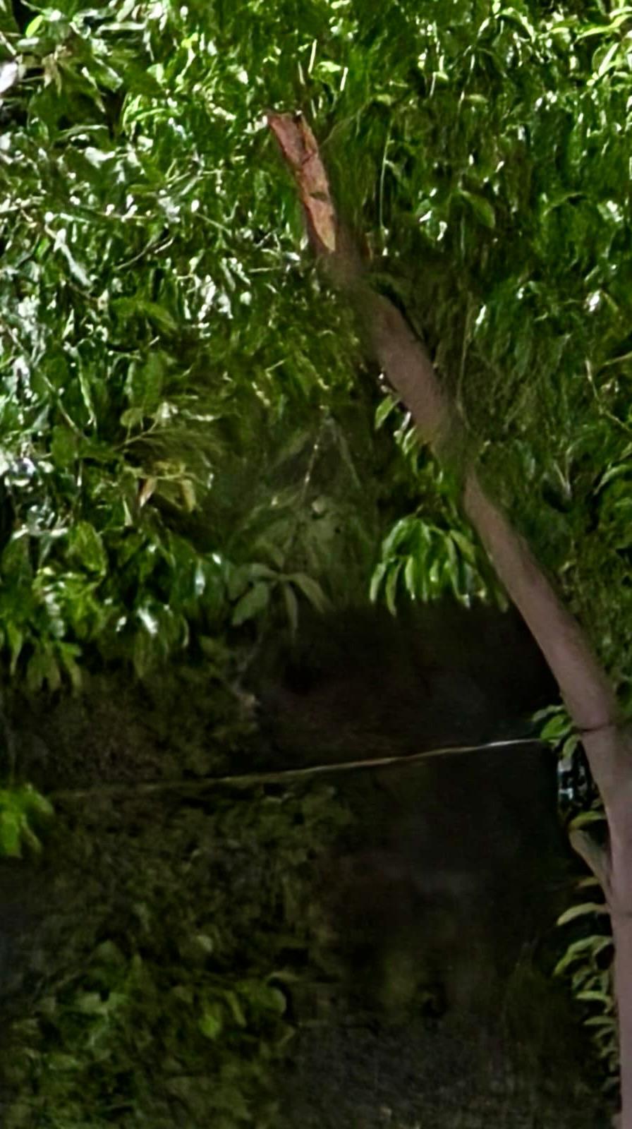 image1 (3).jpeg