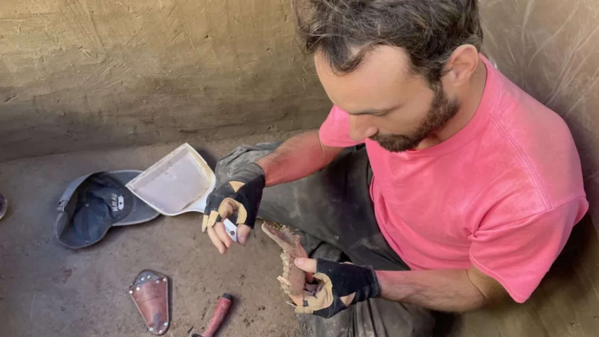Early humans fed salmon to canines 12,000 years ago, that is why dogs are friendly companions