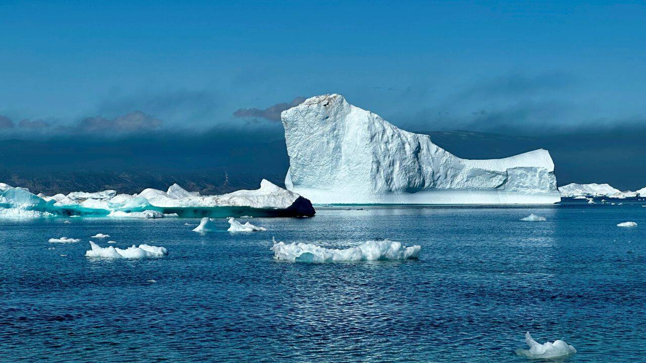 Norway opened parts of its Arctic seabed for future mining, but scientists have now discovered rare deep-sea life living there
