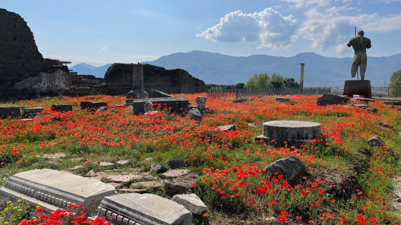 2,000 years after Pompeii vanished beneath volcanic ash in one of history's deadliest volcanic disasters, the ancient Roman street is blooming with flowers, offering a symbol of nature's renewal