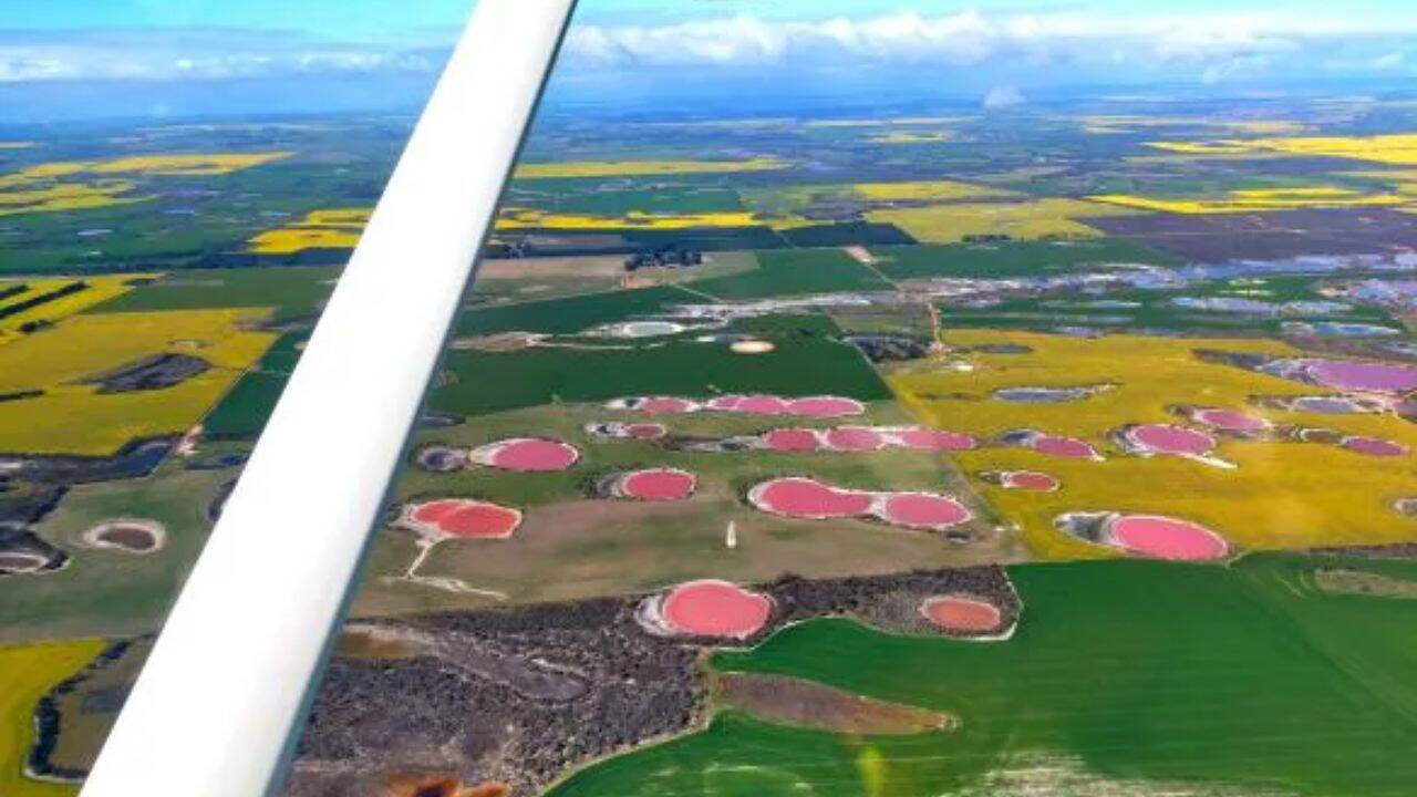 7 pink lakes in Australia and the science behind their unusual colours