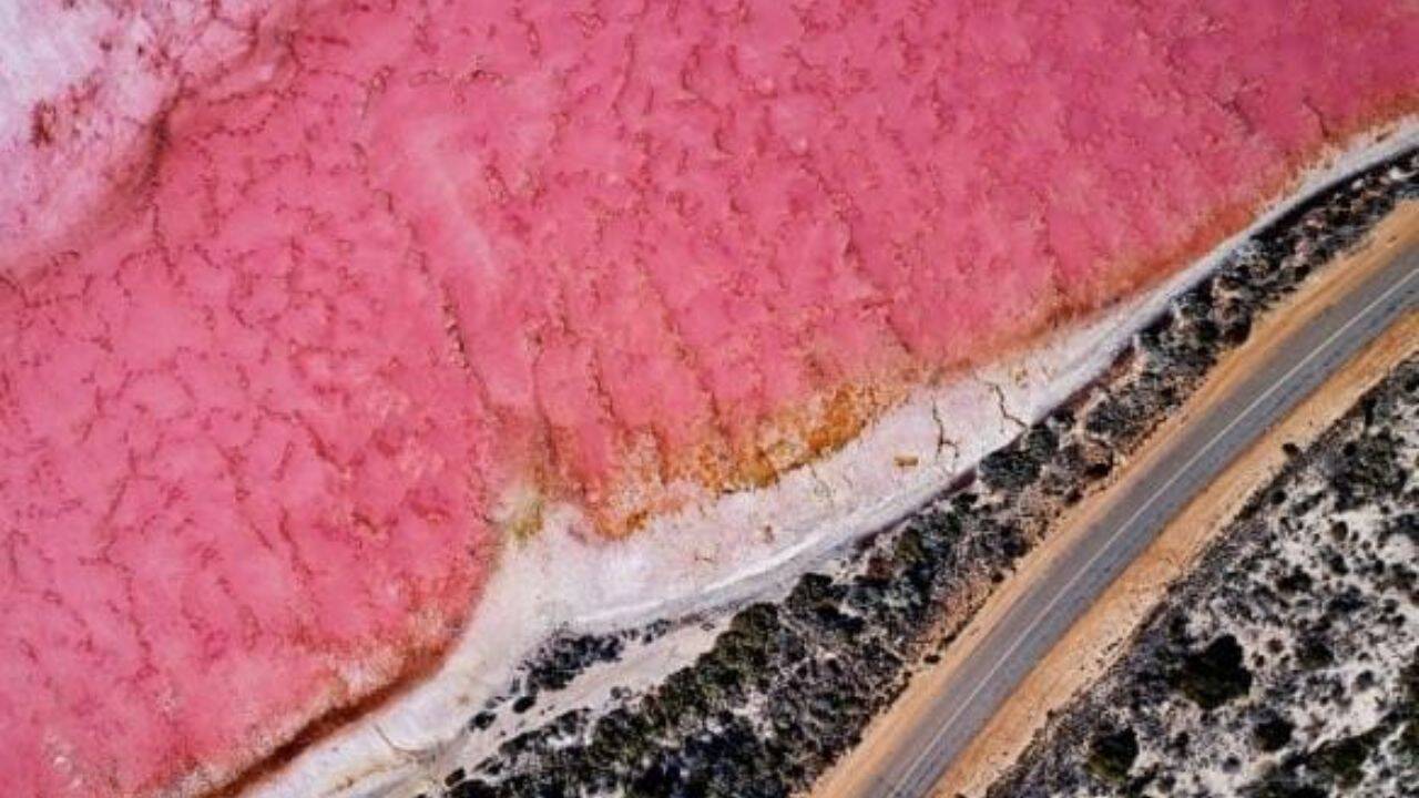 7 pink lakes in Australia and the science behind their unusual colours