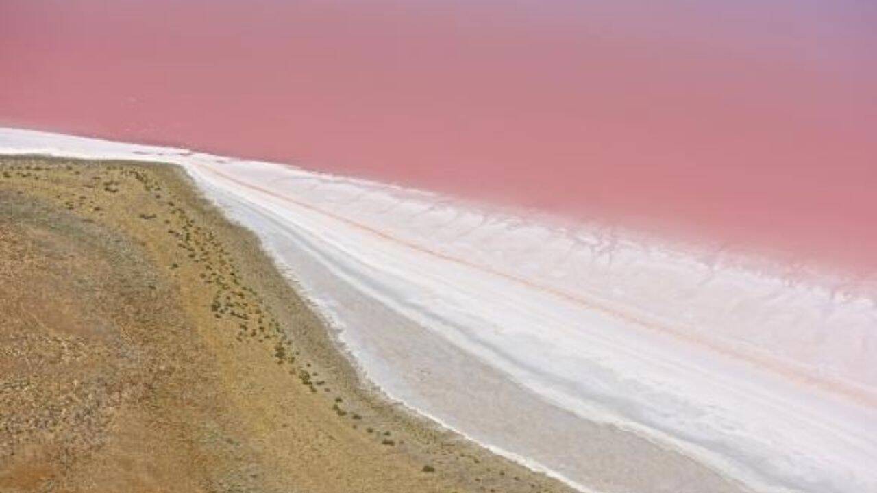 7 pink lakes in Australia and the science behind their unusual colours