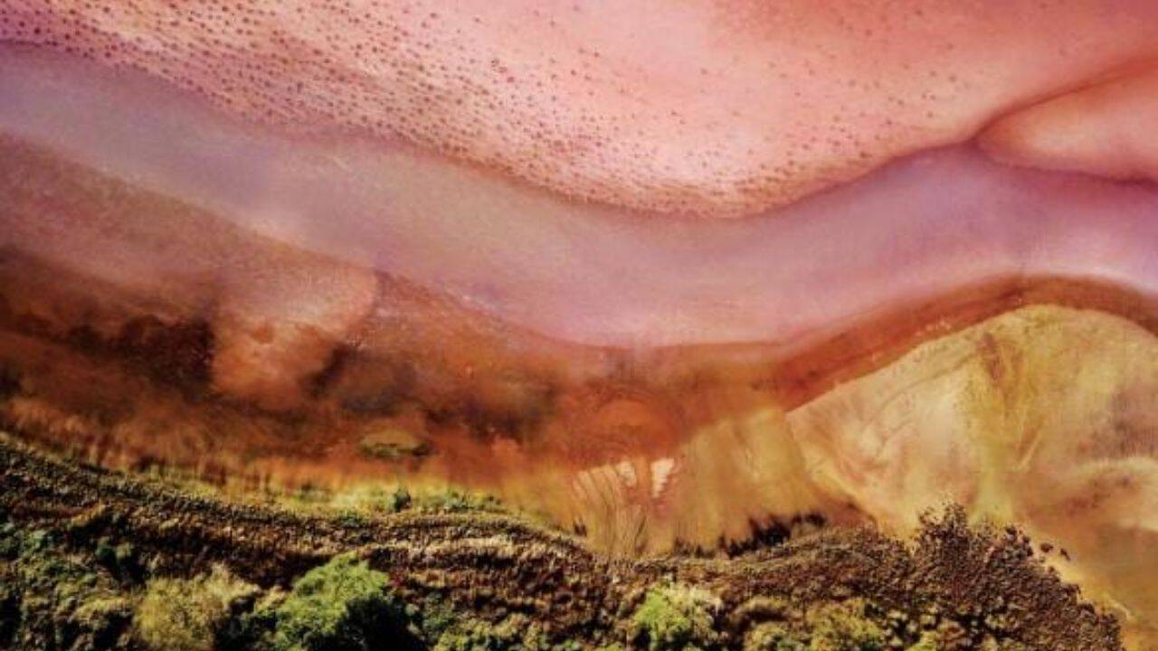 7 pink lakes in Australia and the science behind their unusual colours