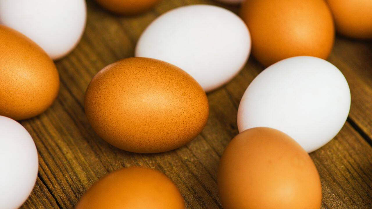 Scientists have identified two main pigments responsible for most eggshell colours