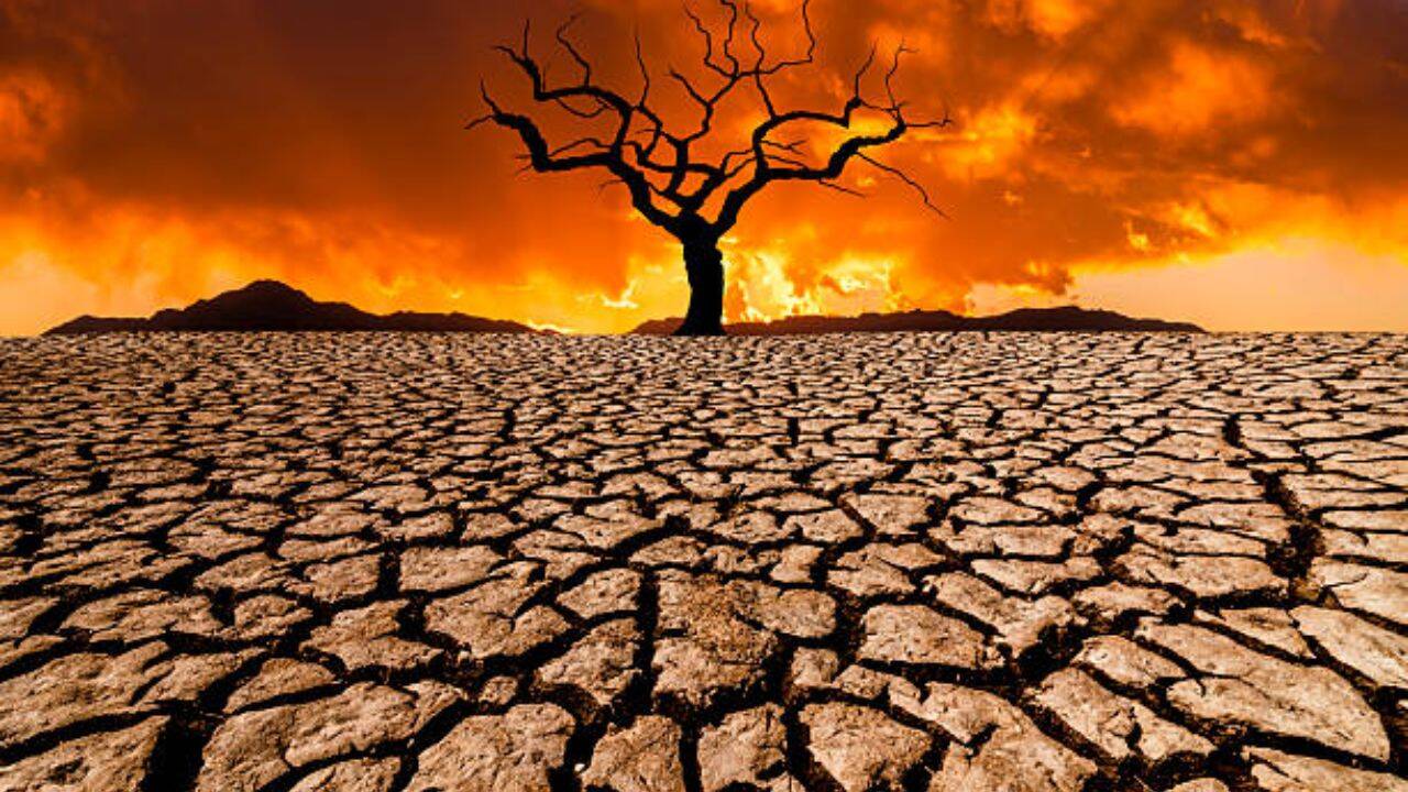 A climate feedback loop