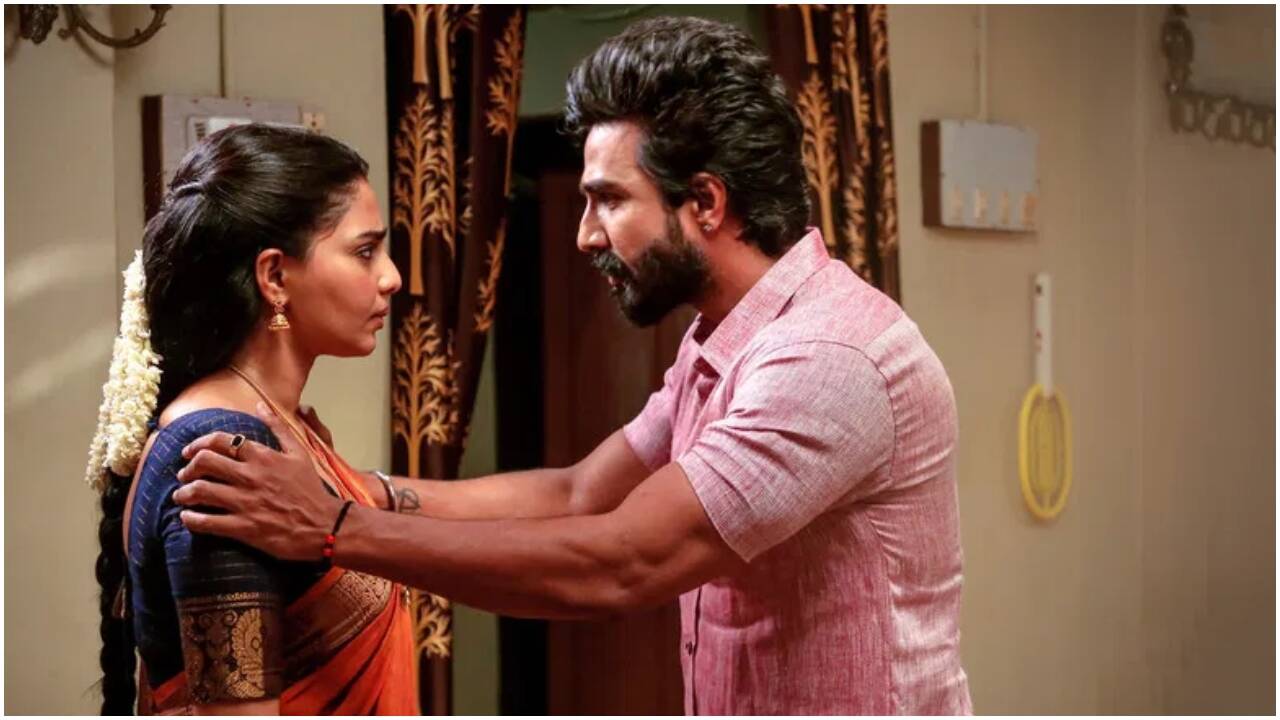 'Gatta Kusthi 2' mints Rs 38.50 crore India gross