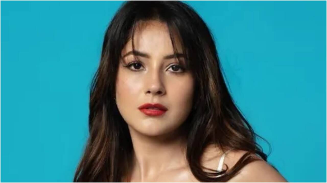 Shehnaaz Gill's sharp reply on therapy sparks debate