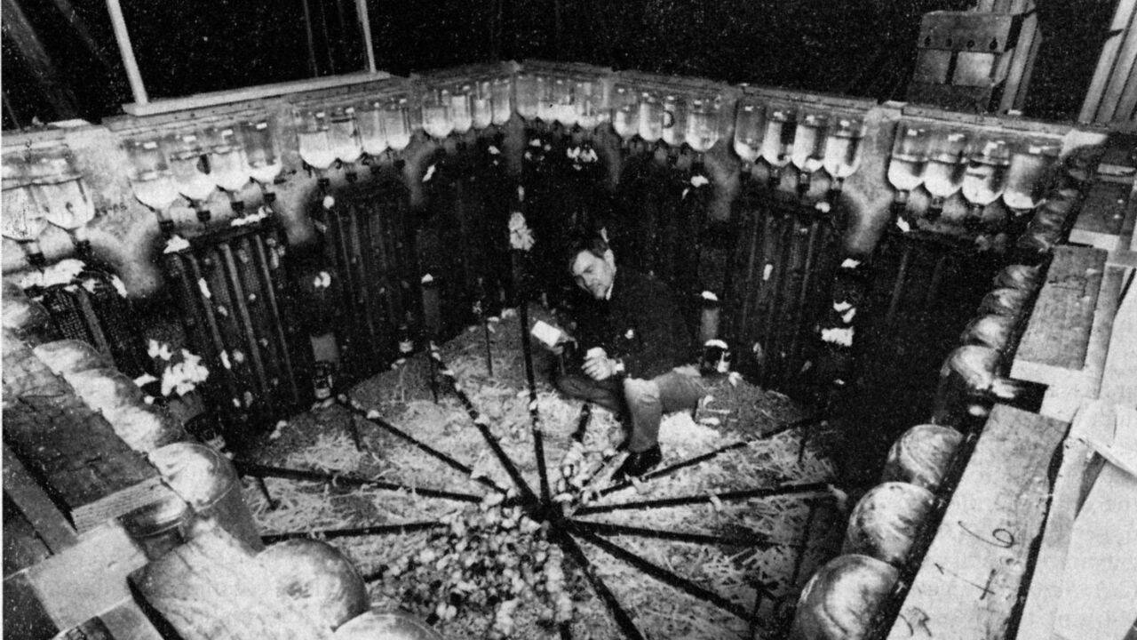 How John Calhoun's mouse utopia grew into one of science's most discussed studies