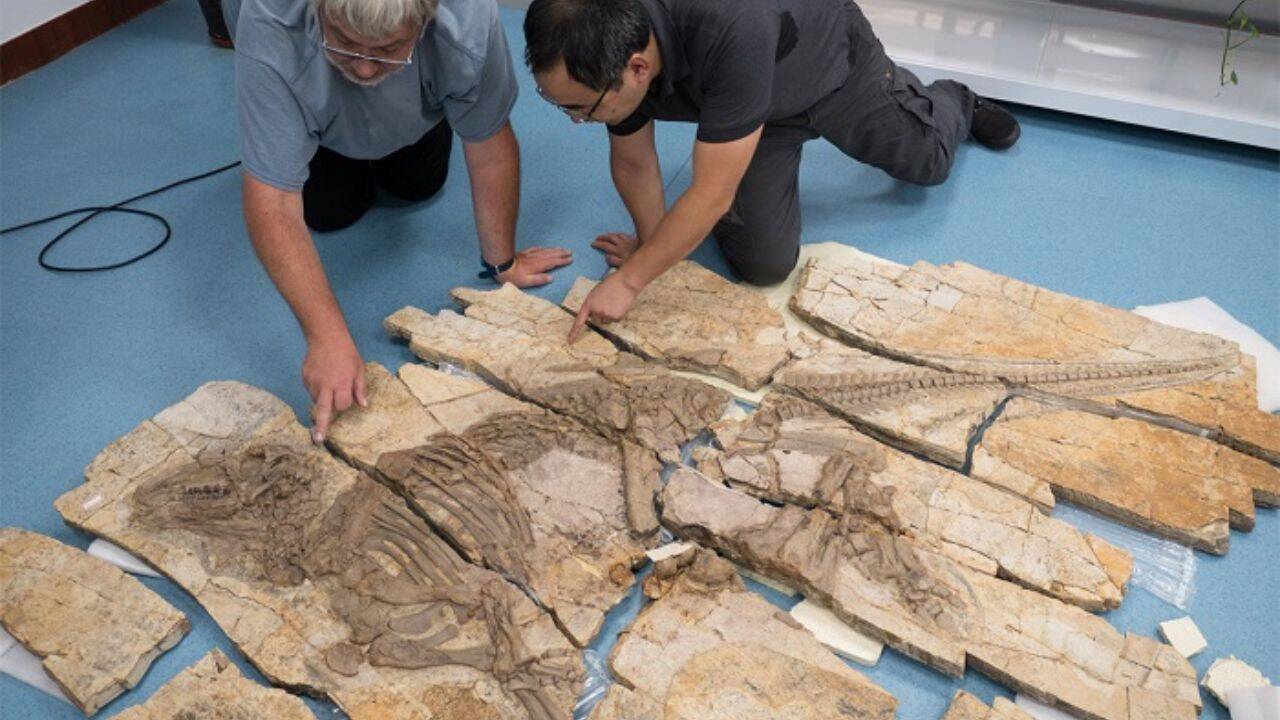 A 125-million-year-old fossil reveals a previously unknown dinosaur