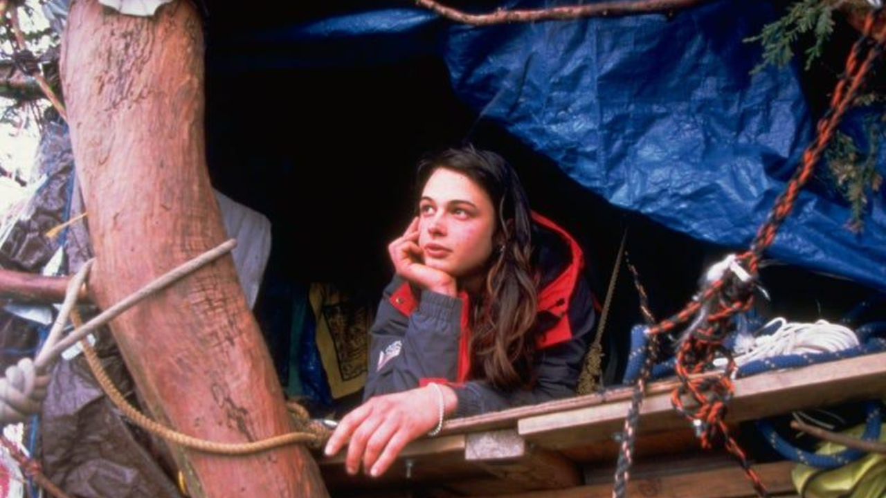 Meet Julia Butterfly Hill: The 23-year-old woman who climbed a 1,000-year-old tree and stayed there for 738 days to save it from being cut downMeet Julia Butterfly Hill: The 23-year-old woman who climbed a 1,000-year-old tree and stayed there for 738 days to save it from being cut down