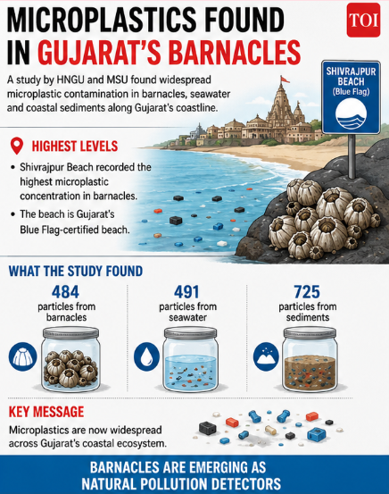 Microplastics found in Gujarat's barnacles