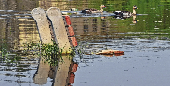 Parks turns into a lake