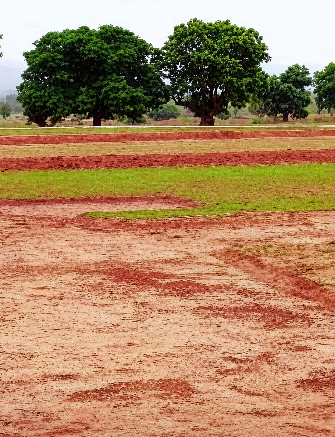 e1ced13a-6a1e-4b16-8c97-b4d7dd097cc1_The_land_in_Chatra.Vishvendu_Jaipuriar.png