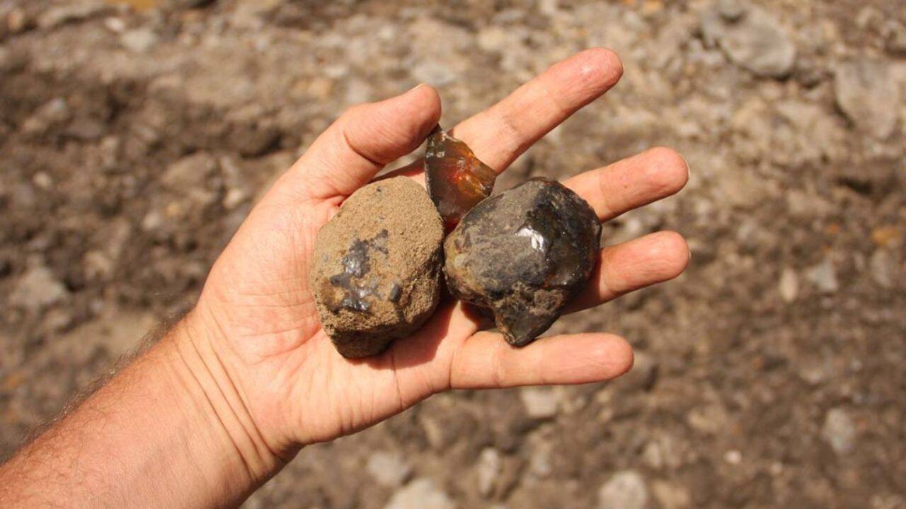 Scientists found South America’s first insect-bearing amber, a 112-million-year-old time capsule from a lost dinosaur-era forest