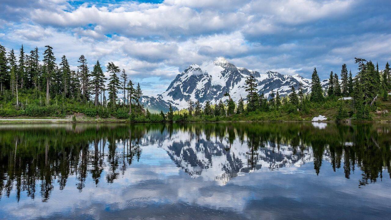 How to protect yourself around dangerous North American wild animals: Essential safety tips for your national park visit