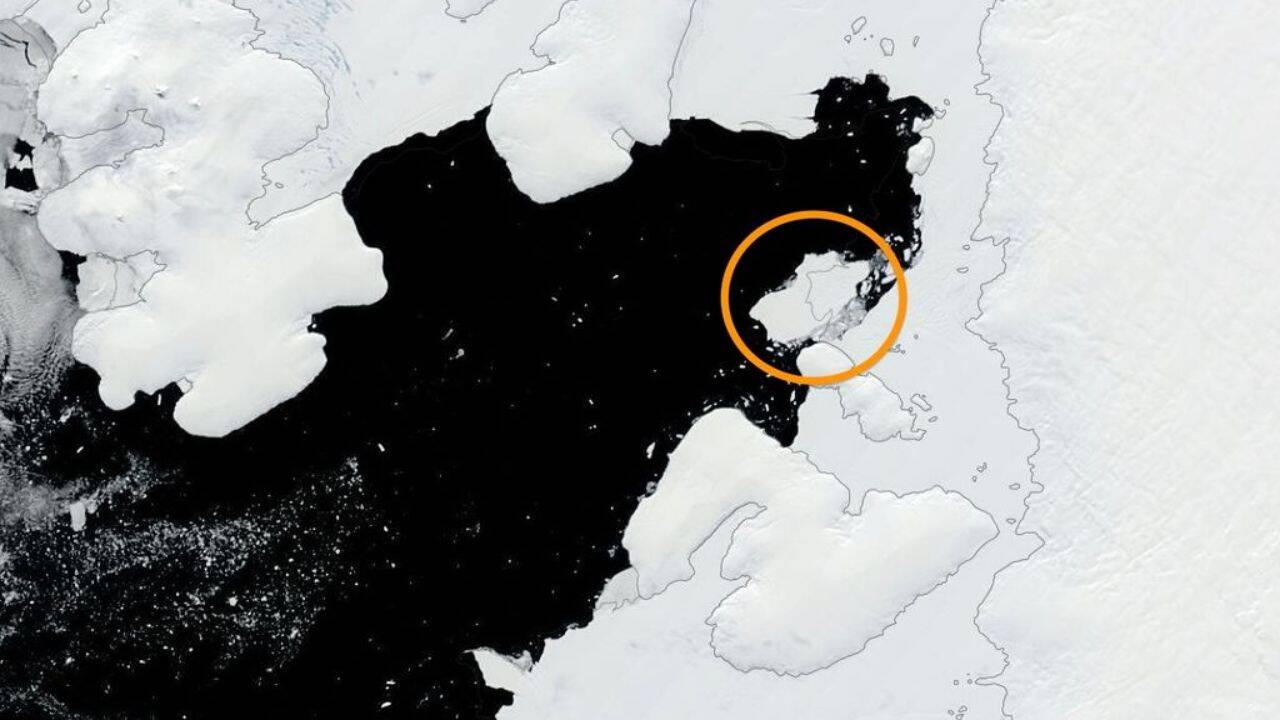 MODIS satellite image showing the iceberg detached from the George VI Ice Shelf on 19 January 2025 in Antarctica
