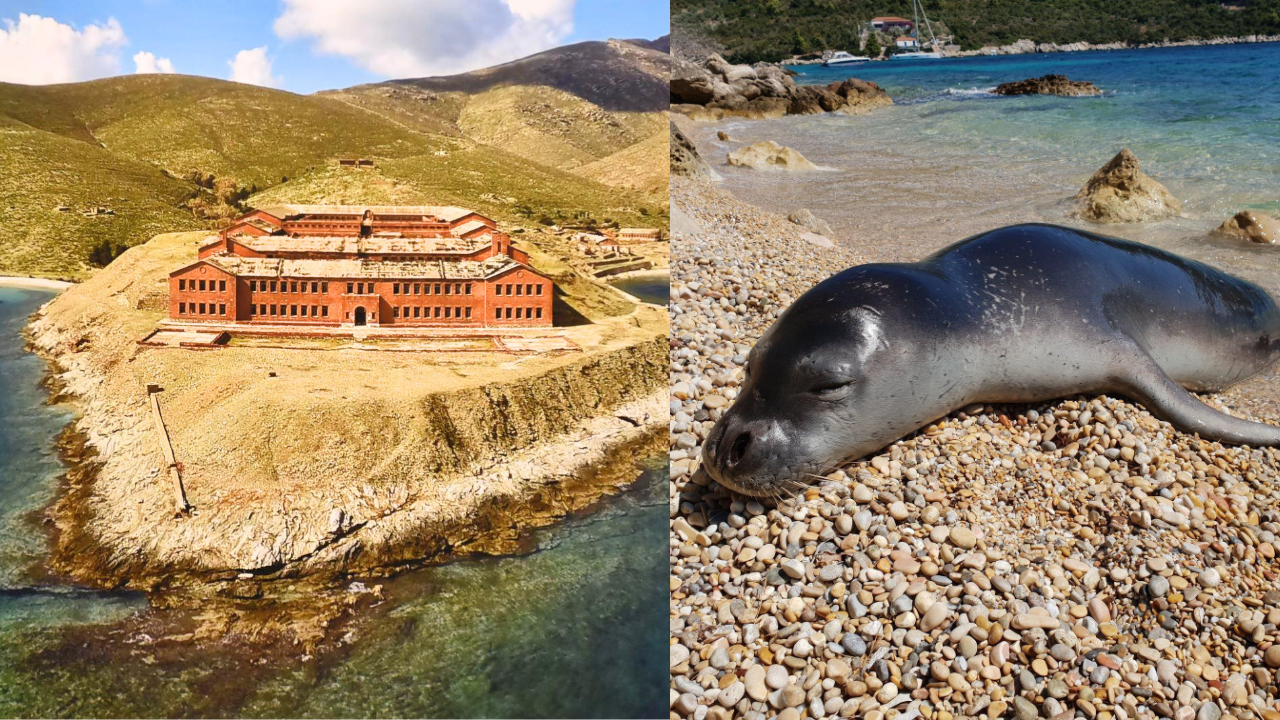 From prison to paradise: Once a dreaded prison island, this remote haven in Greece is now protecting one of the world's rarest seals