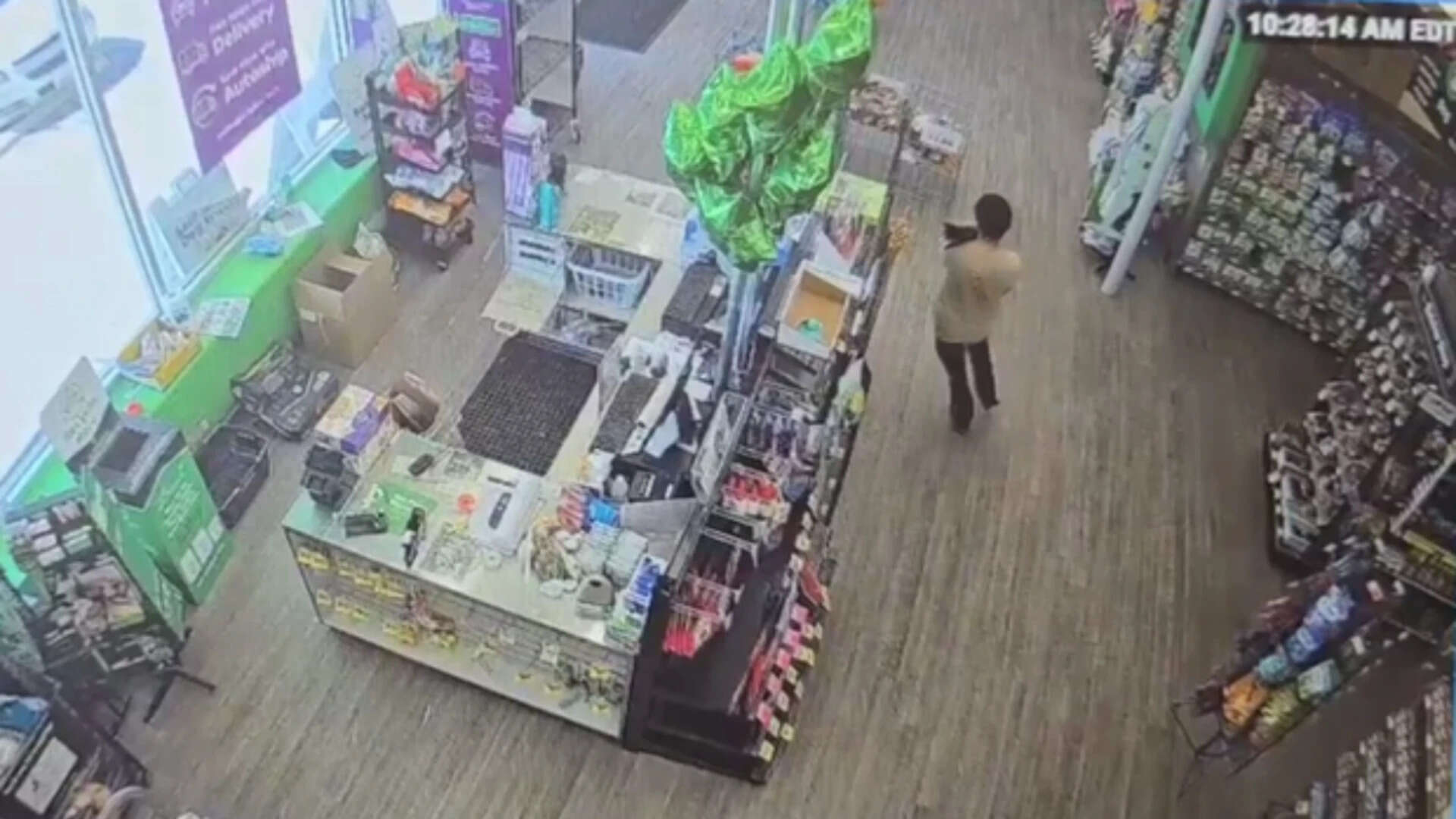 CCTV footage of the man stealing the kitten