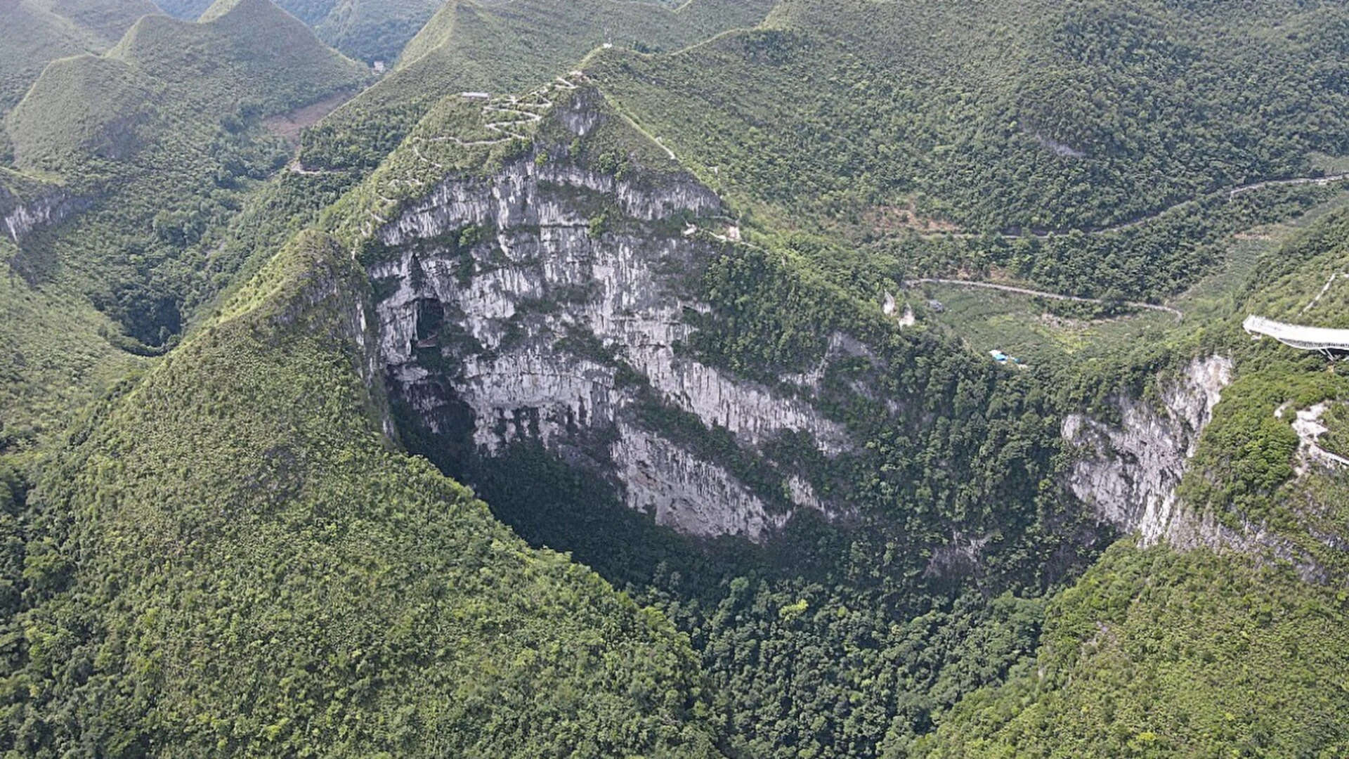 China’s giant sinkholes are protecting an endangered tree, but they may also be trapping its future