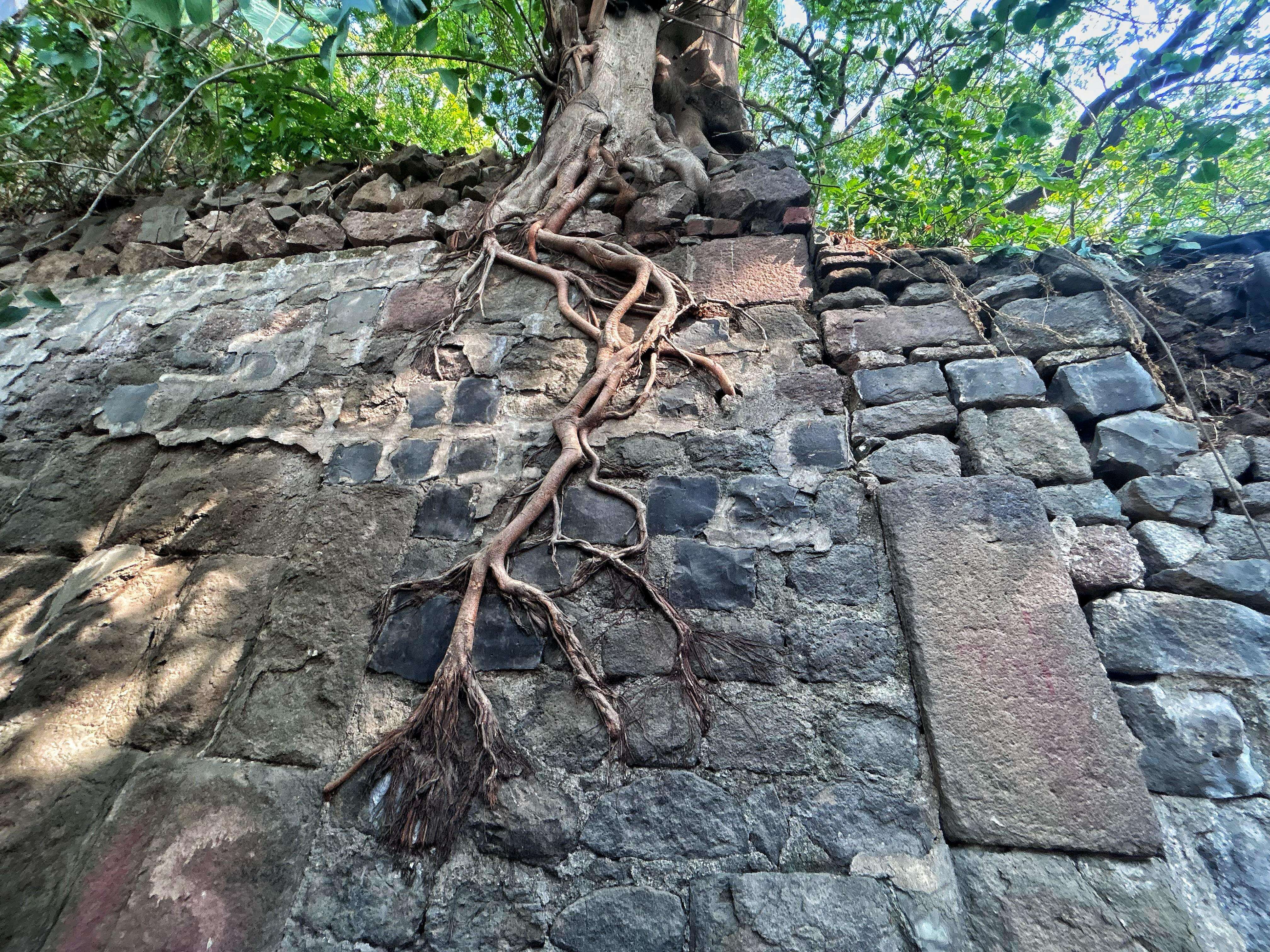 dam_dl_whk6u3pn.jpg