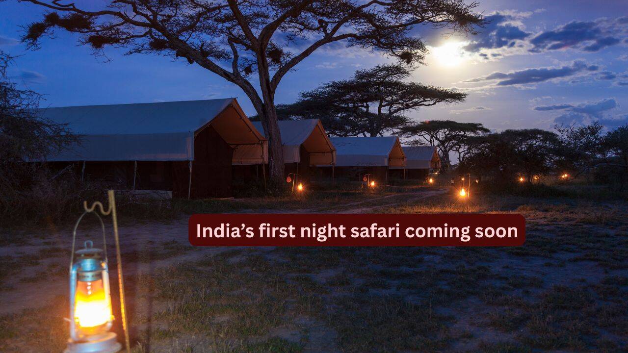 India’s first night safari coming soon to Lucknow’s Kukrail Forest; set to offer a one-of-a-kind wildlife experience