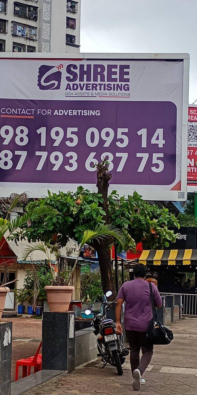 Almond tree in Navi Mumbai illegally pruned again for hoarding display