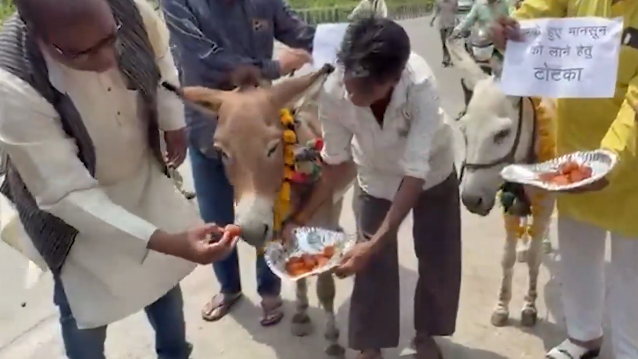 Donkeys fed 'gulab jamuns' in ritual amid rainfall deficit in 35 MP districts