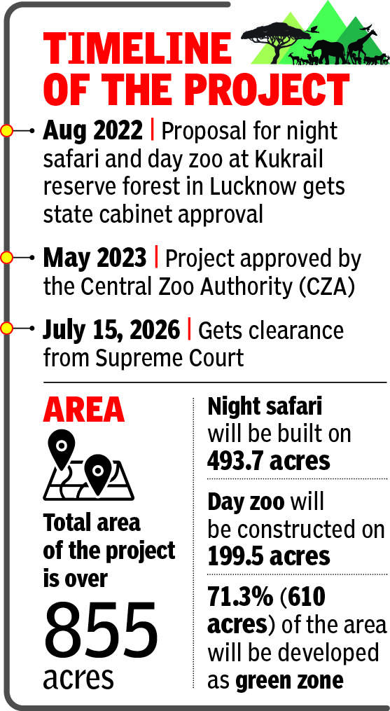 Timeline of the project