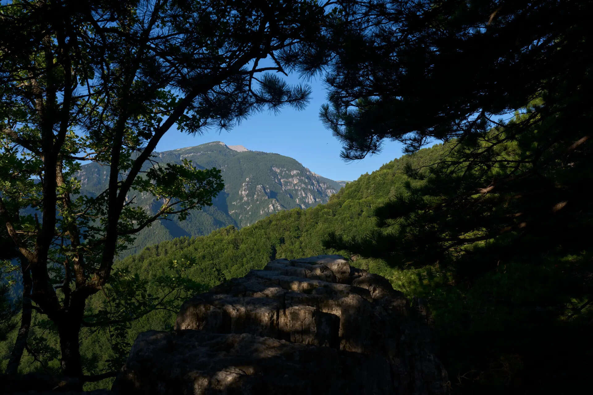 Mount Olympus is seen from the lower slopes of the mountain near Litochoro in northern Greece, Wednesday, July 15, 2026. (AP Photo/Petros Giannakouris) Greece UNESCO Mount Olympus