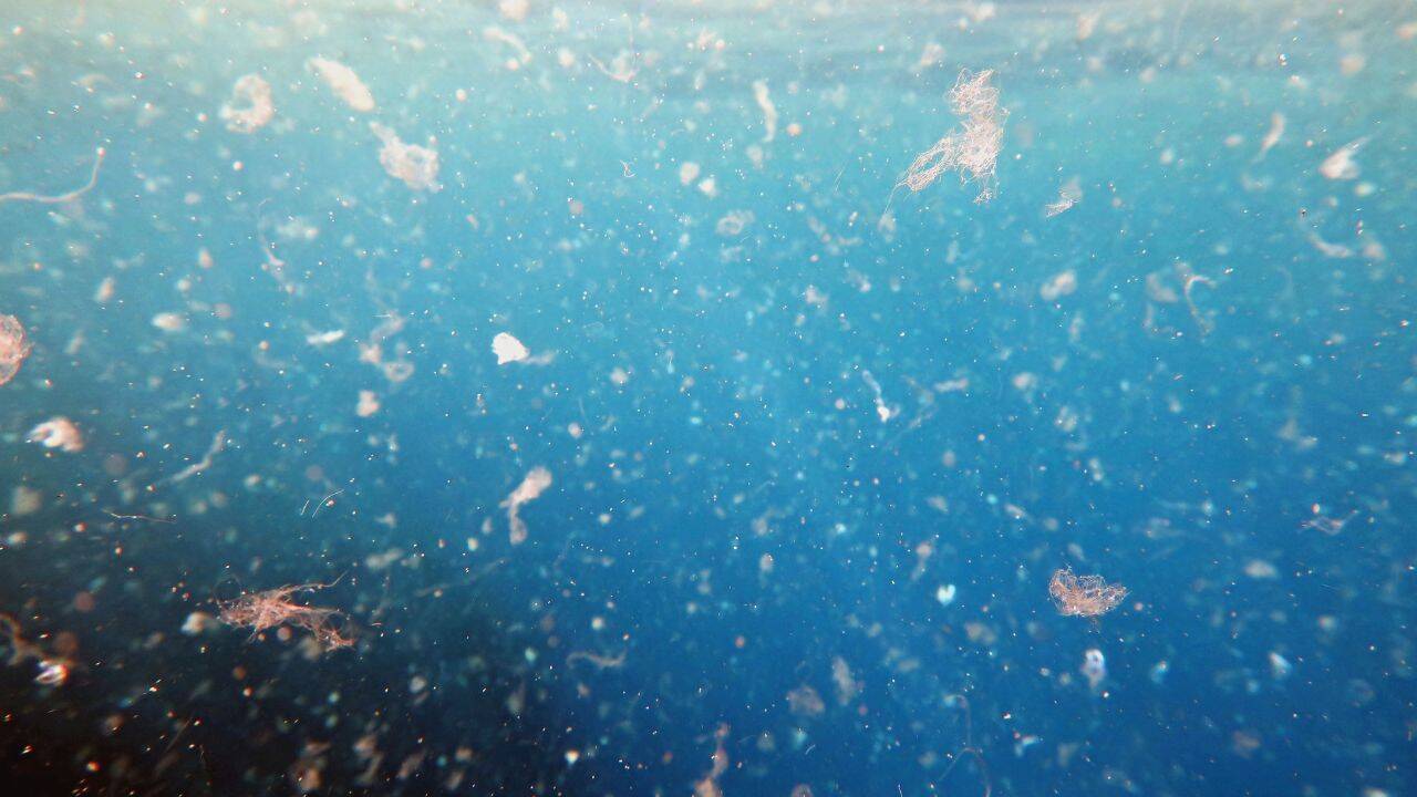 Tiny plastics in drinking water may help harmful bacteria thrive
