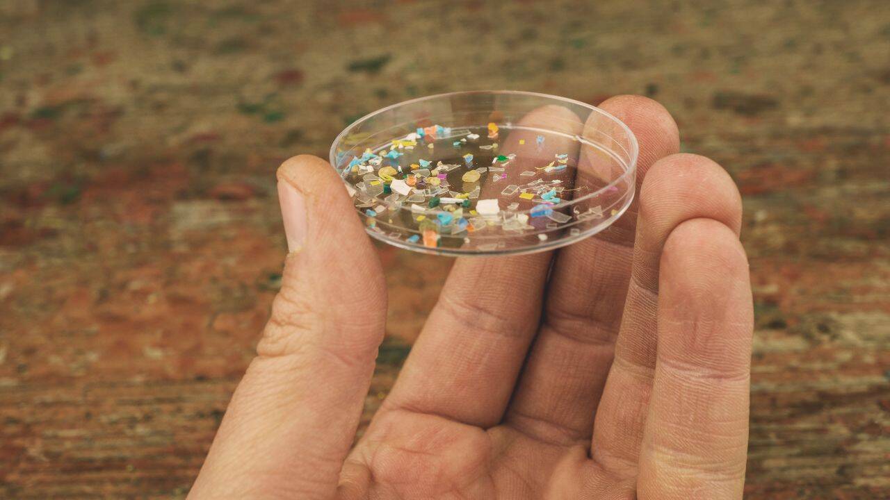 Representative image of small plastic pieces