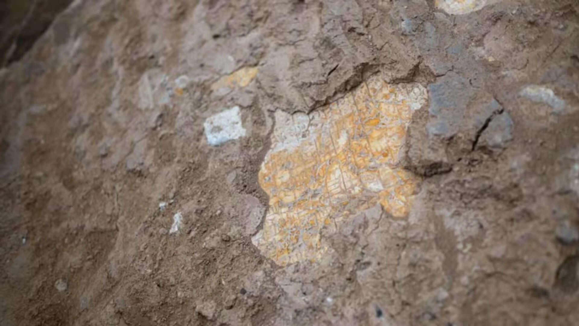 Rare stele of Assyrian king who reigned 2,600 years ago unearthed in Iraq's Nineveh -