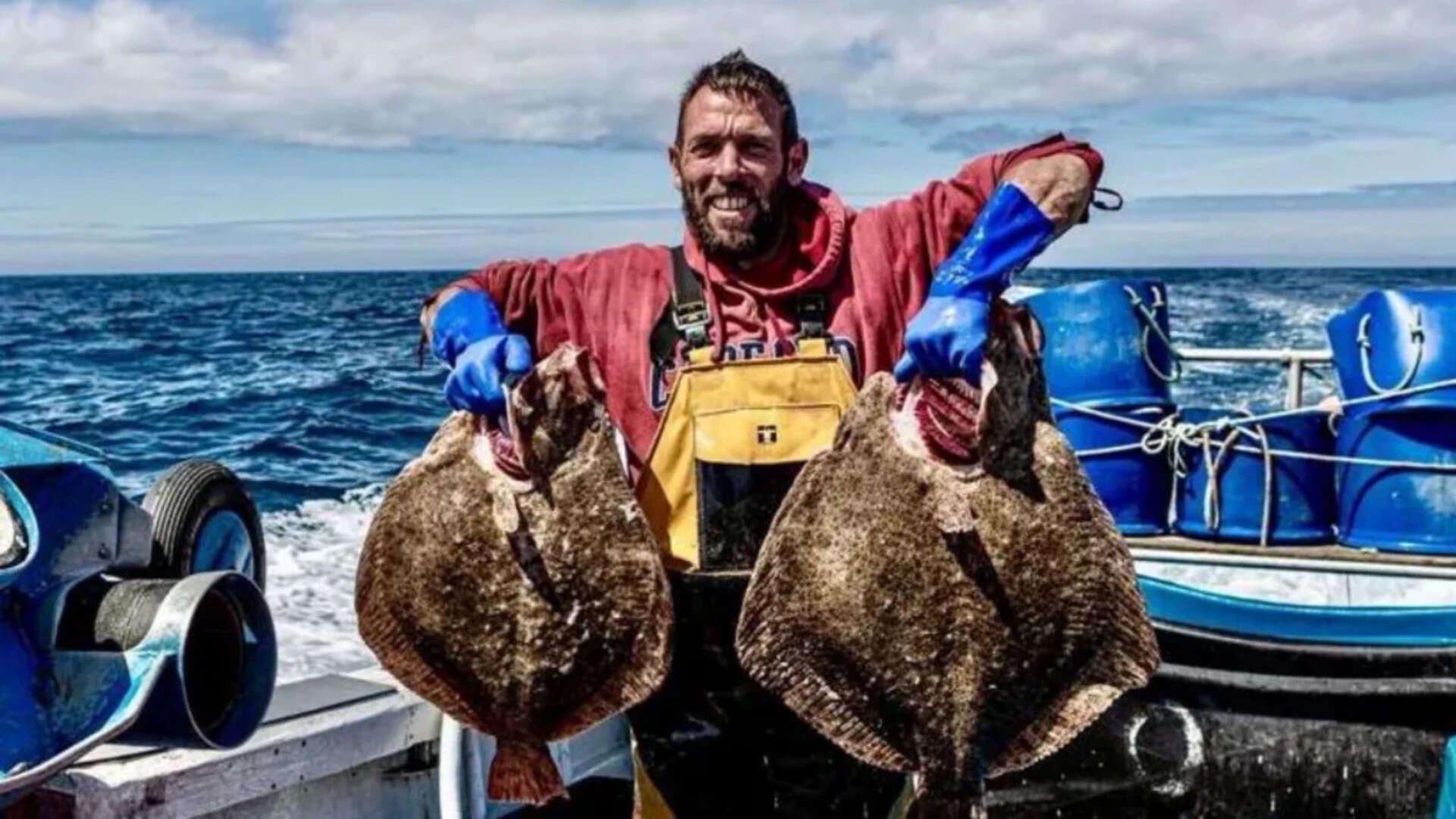 Warming seas are bringing octopus, red mullet and bream into UK waters