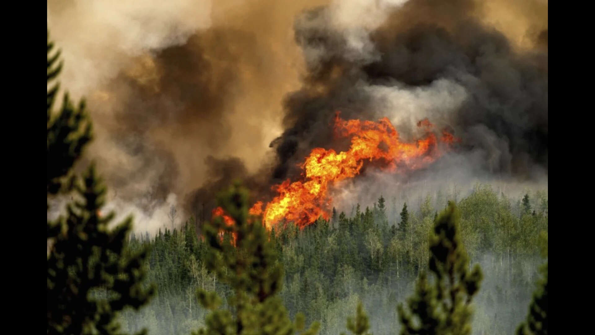 Canada’s 2023 wildfire choked much of North America with dangerous smoke for months. .