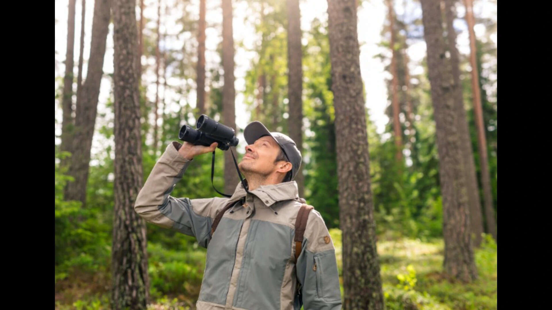 Birdwatchers recorded the birds they saw and uploaded their observations. .