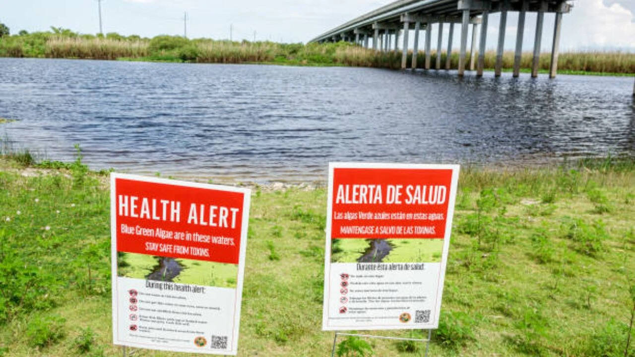 People may be chronically exposed to low concentrations of cyanobacterial toxins Cyanobacteria toxins move farther in air than just the shorelines