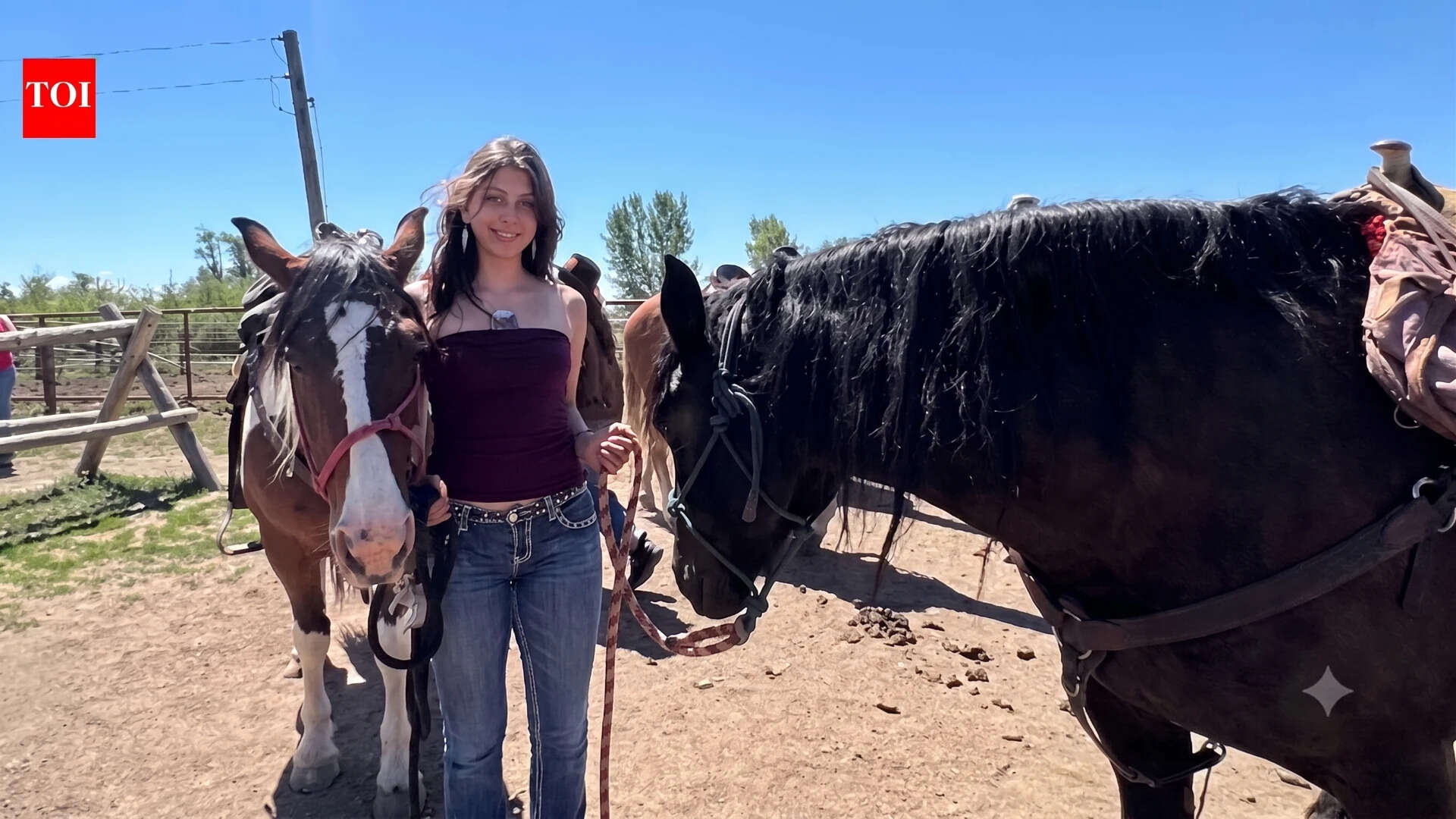 Why Quitting A Chicago Corporate Job For Nineteen Dollars An Hour At Yellowstone Works