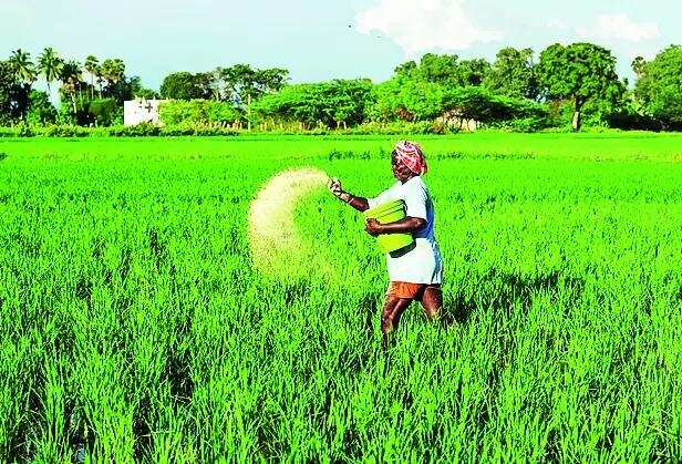 Urea prices drop 40% in June after May spike, easing concerns for India's fertiliser supply