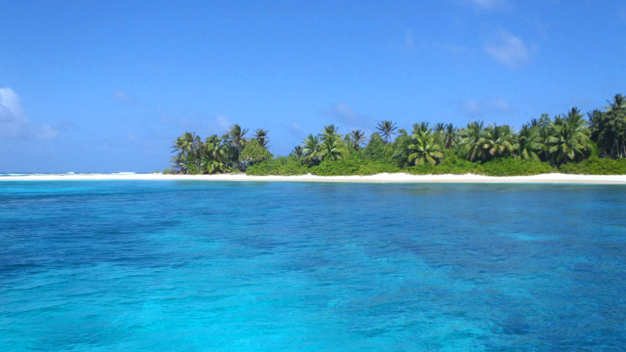 island (2)