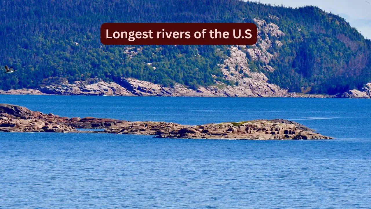 5 longest rivers in the U.S and the incredible wildlife you can spot there