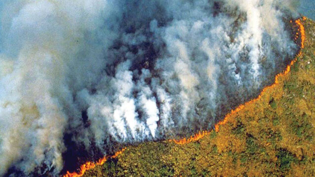 Amazon fires peaked during the 2024 drought. A year later, burned area hit its lowest level since records began in 1985