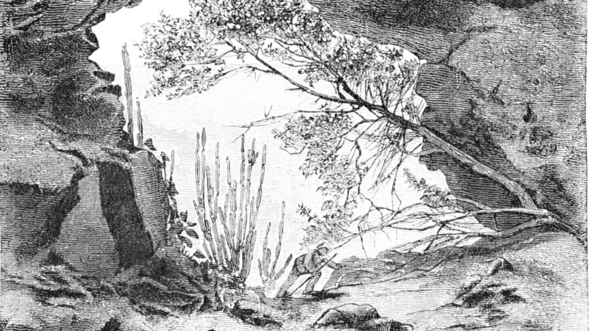 25,000-year-old cave discovery reveals ancient Australian rituals