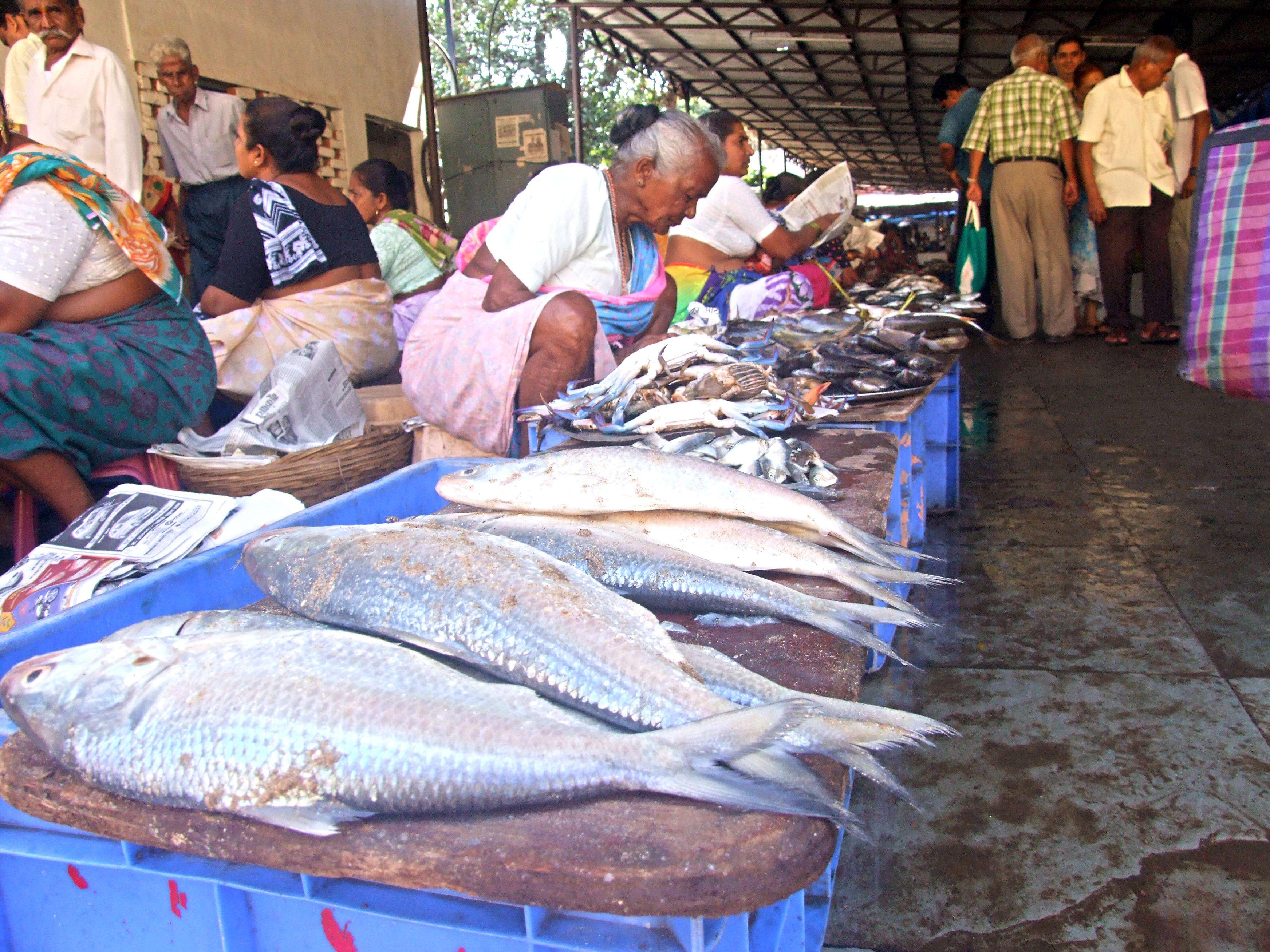 PANAJI_FISH_MARKET_3.jpg