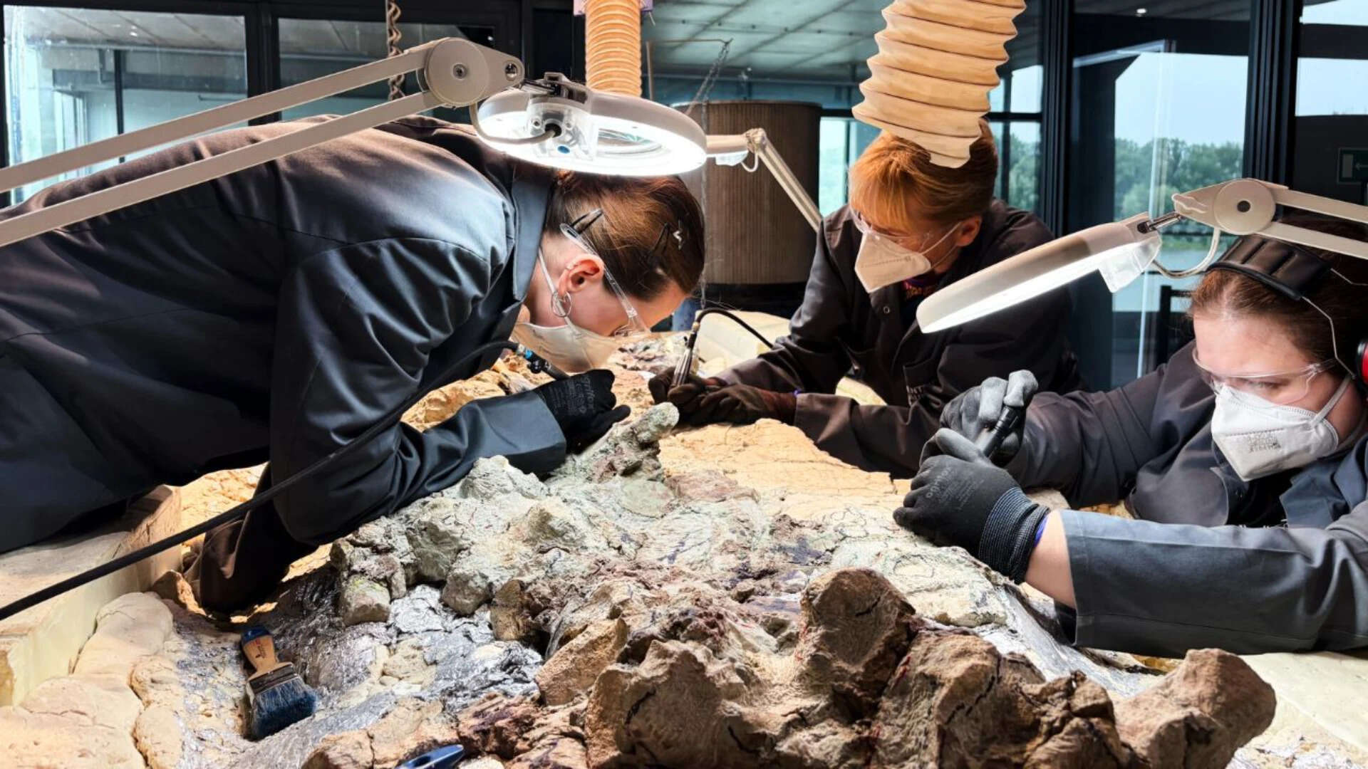 Scientists found a 2,865-pound predator from before dinosaurs ruled Earth