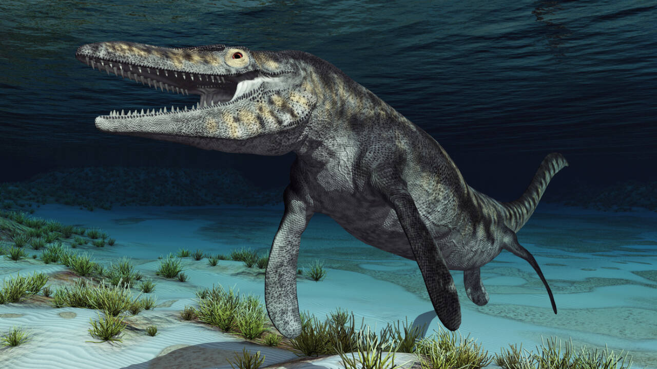 Some species grew to more than 15 meters (50 feet) long
