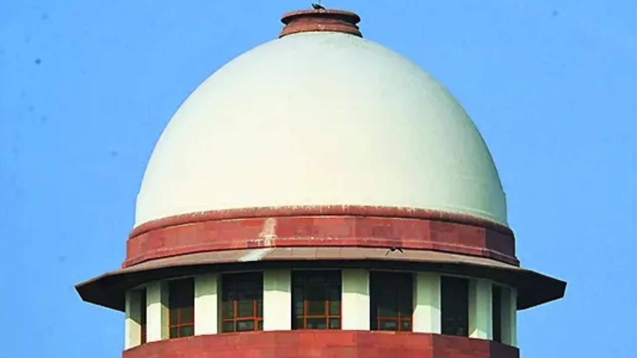 SC to examine plea to ease green-cracker ban