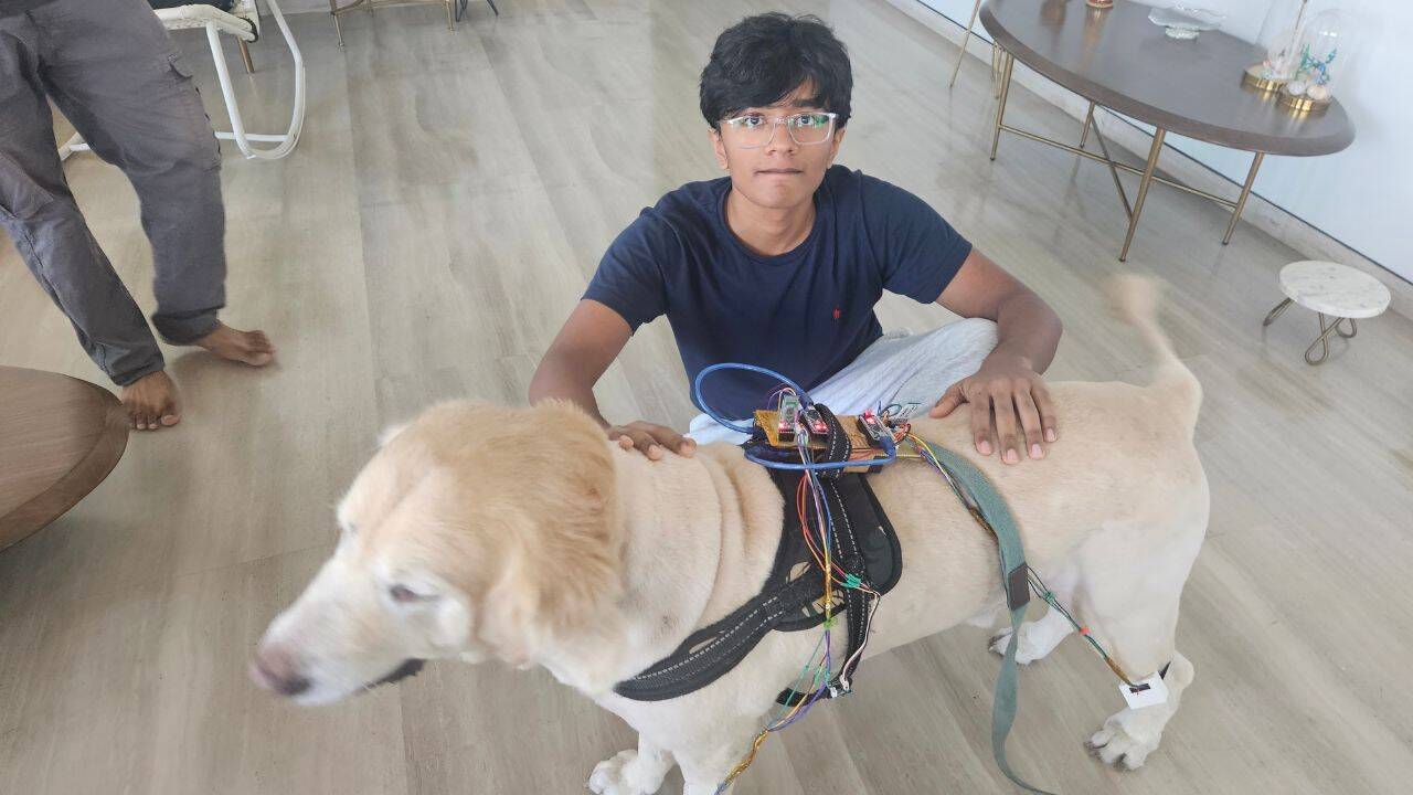 Anshul Bhatt built PawPath project (Special Arrangements)